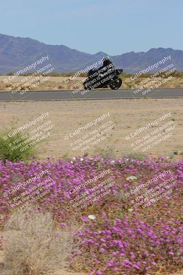 media/Mar-12-2023-SoCal Trackdays (Sun) [[d4c8249724]]/Turn 15 Inside Bloom (130pm)/